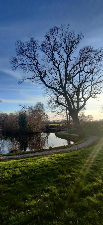 Kingfisher Cabin - Wild Escapes Wrenbury Off Grid Glamping - Ages 12 And Over Baddiley Экстерьер фото